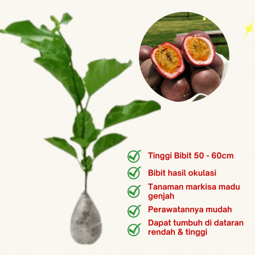 Penjualan Bibit Tanaman
